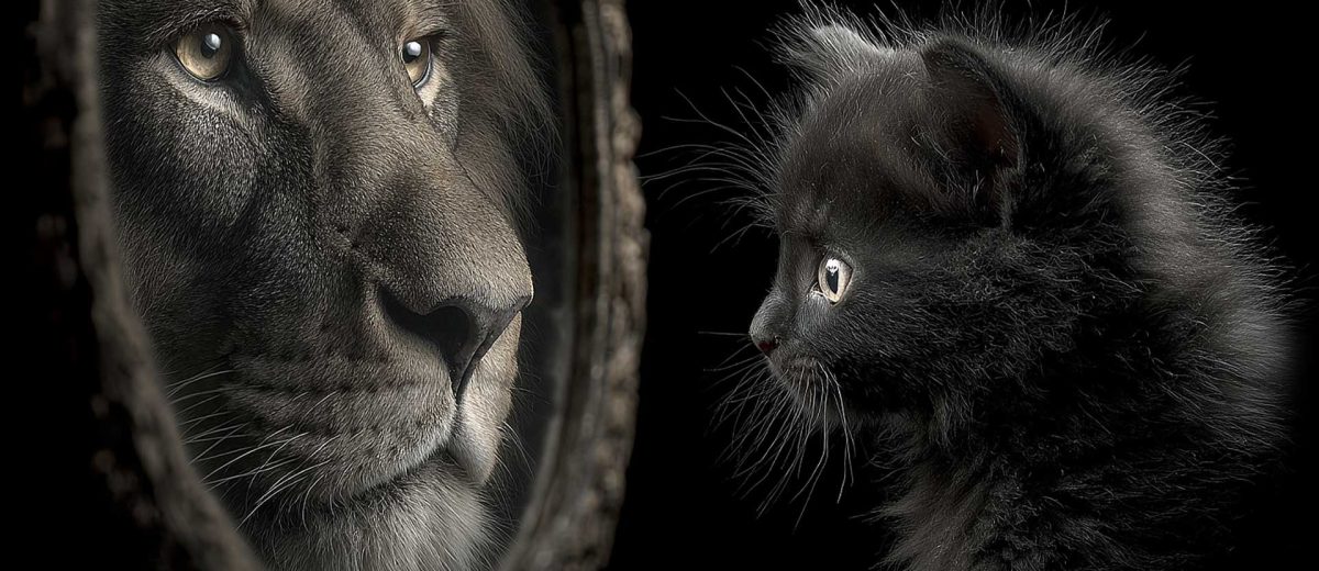 I believe in you, believe in yourself